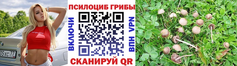 Псилоцибиновые грибы GOLDEN TEACHER  Горячеводский 